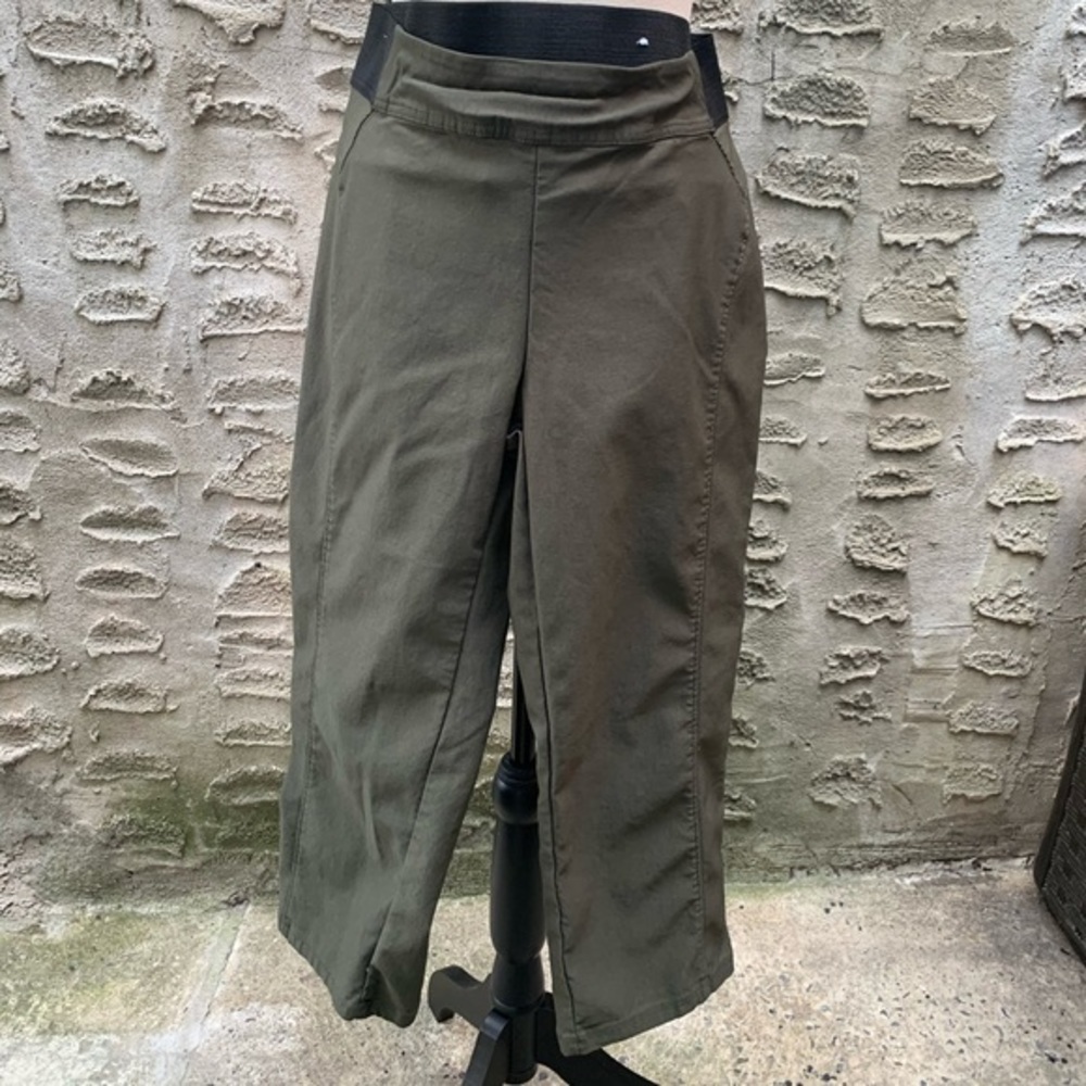 Vera Wang Dark Green Crop Dress Pants